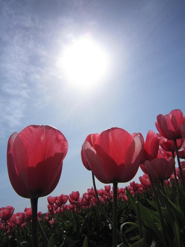 [IMG_1779[3].jpg]