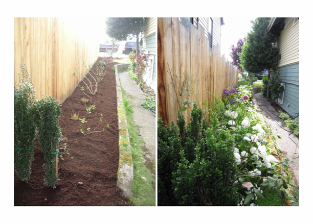 [garden[2].png]