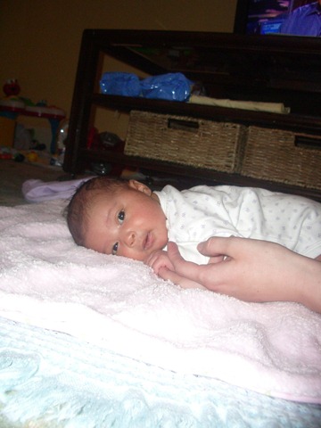 [IMGP1987[3].jpg]