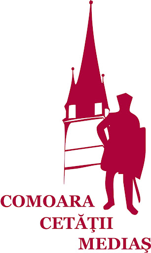 logo comoara