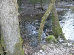 P1010816