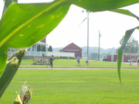 At The Farm Where The Film Was Shot, Field Of Dreams For Sale