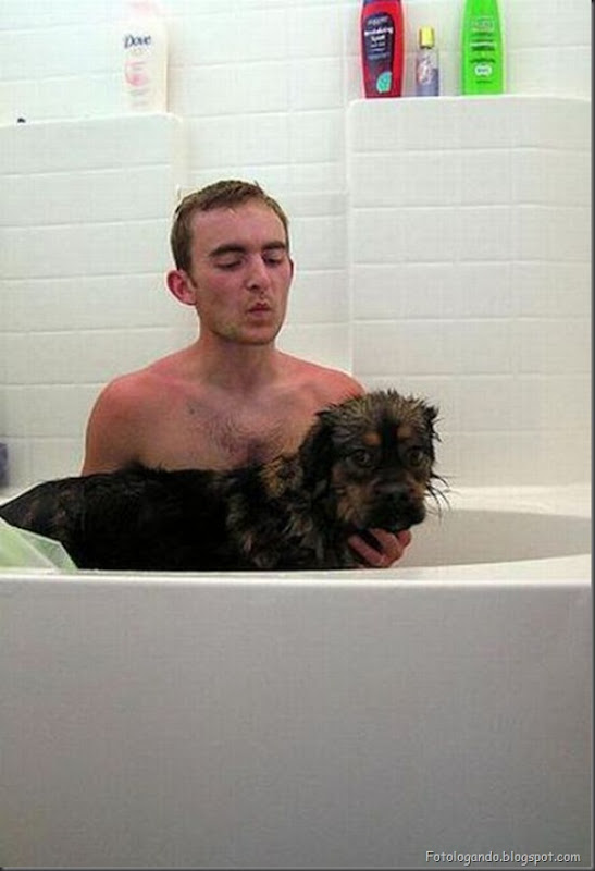 Cães no banho (18)