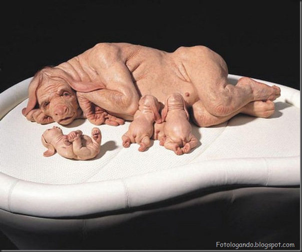 A arte controversa nas esculturas de Patricia Piccinini (33)