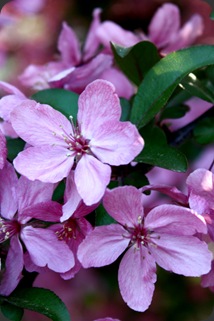 IMG_5190 IMG_5190