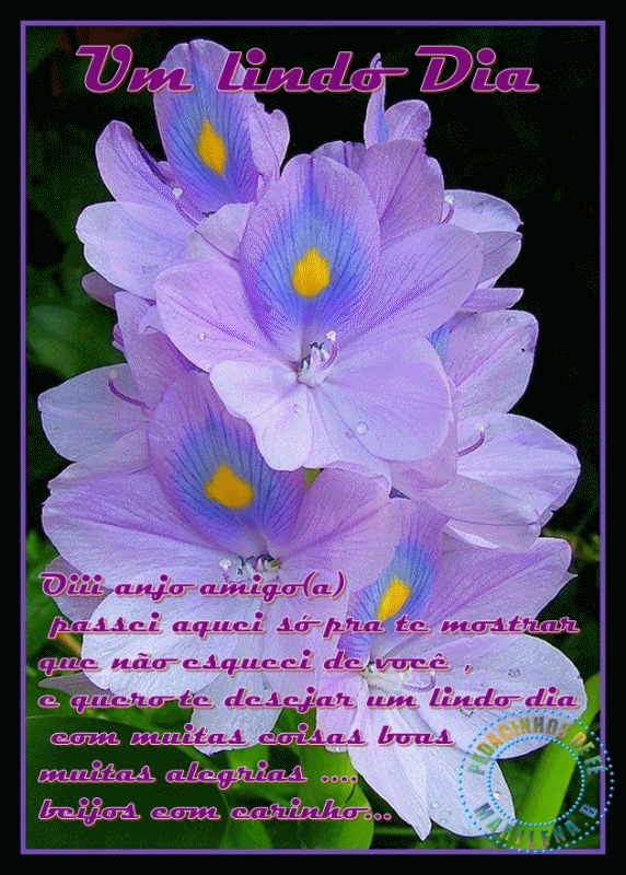 Recado Para Orkut - Amor: 1