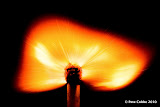 burning_match_120310_img-021.jpg
