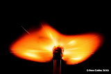burning_match_110310_img-015.jpg