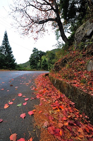 DSC_0842 DSC_0842
