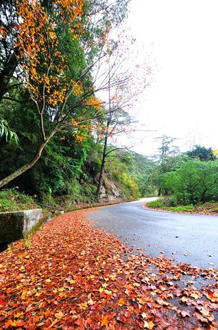 DSC_0847 DSC_0847