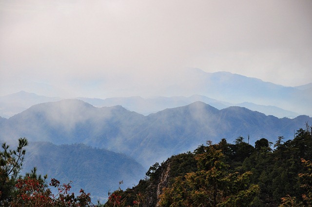DSC_0869 DSC_0869