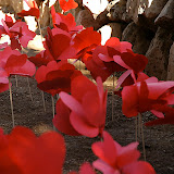 DSC_4090.JPG