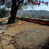 DSC_4482.JPG