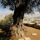 DSC_1097.JPG