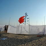 DSC_0423.JPG