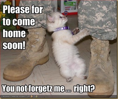 funny-pictures-kitten-asks-soldier-to-come-home-soon