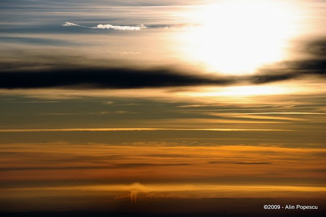 _ATN0395.jpg