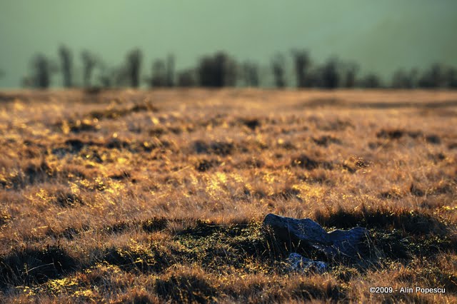 _ATN0448.jpg