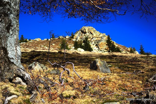 _ATN0227.jpg