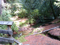 2009-10-18 12.46.05.jpg