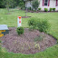 ElizaK28's Utility  garden