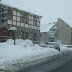 SL705076.JPG