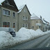 SL705077.JPG