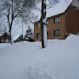 SL705101.JPG