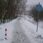 SL705142.JPG
