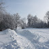 IMG_6675.JPG
