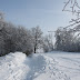 IMG_6676.JPG