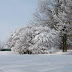 IMG_6698.JPG
