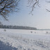 IMG_6705.JPG