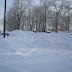 SL705165.JPG