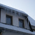 SL705173.JPG