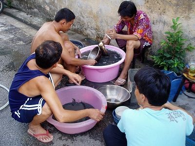 洗面器の泥を洗う男衆