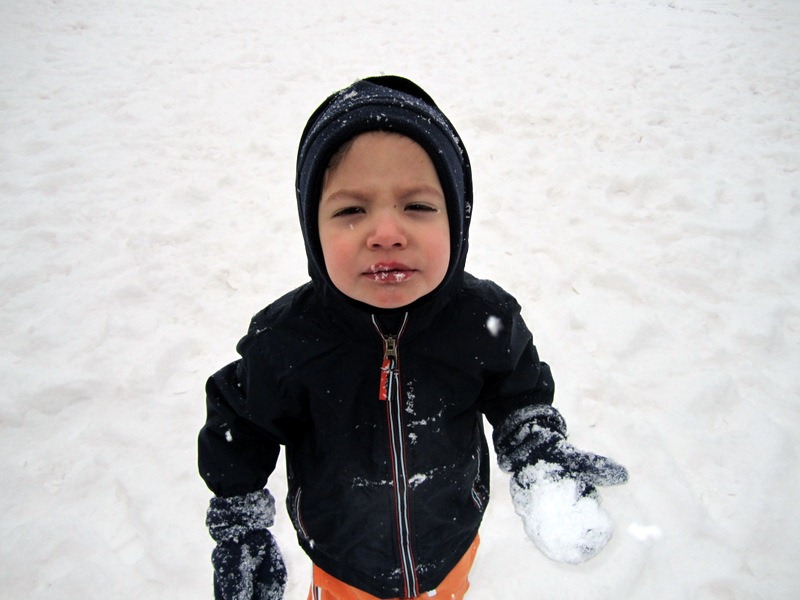 [02 february 2011 049[4].jpg]