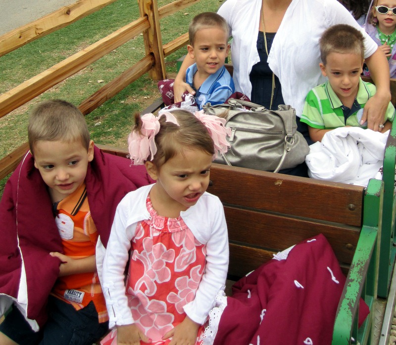 [03 march 2011 179[3].jpg]