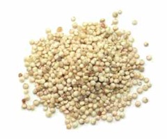 quinoa1 quinoa1