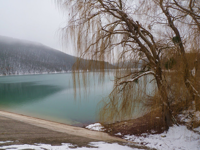 P1070671.JPG