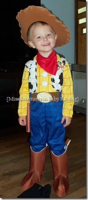 Toy_Story_3_Woody Toy_Story_3_Woody