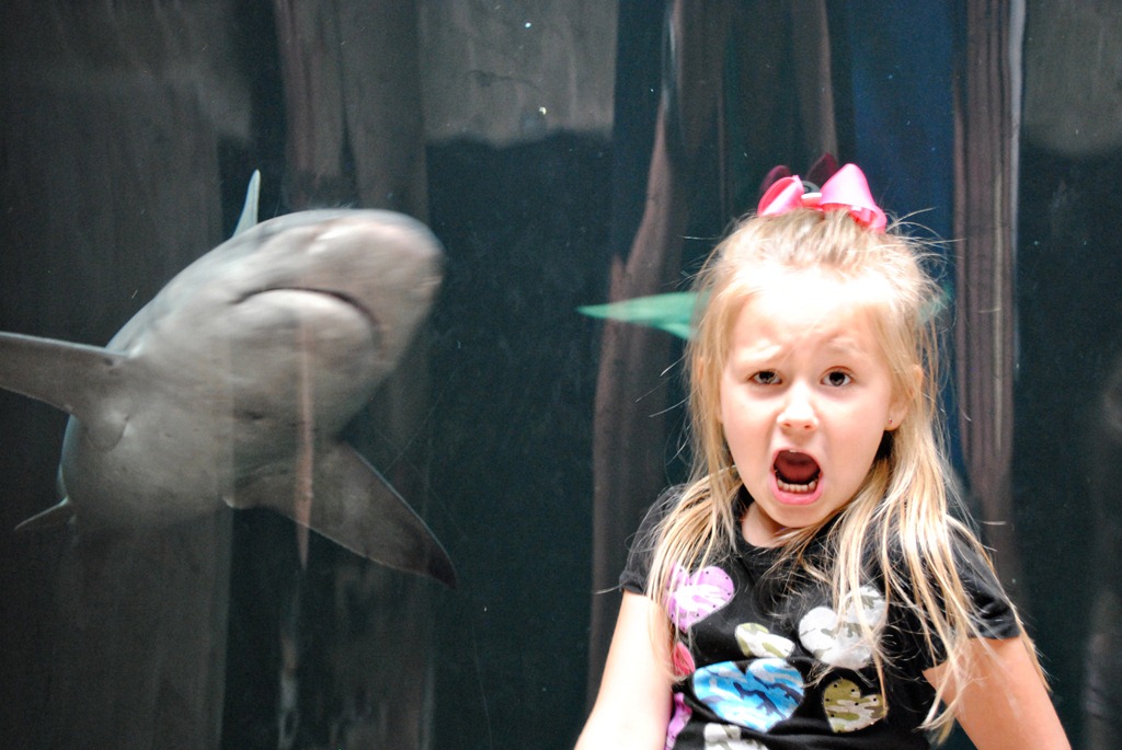 [Dallas Aquarium (12)[4].jpg]