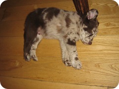 IMG_5892 IMG_5892