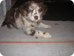 IMG_5943 IMG_5943