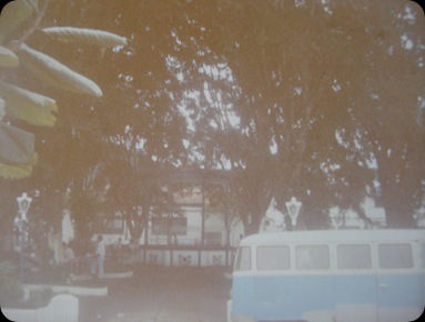 DSC05991