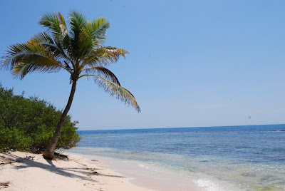 les Caraibes Venezueliennes