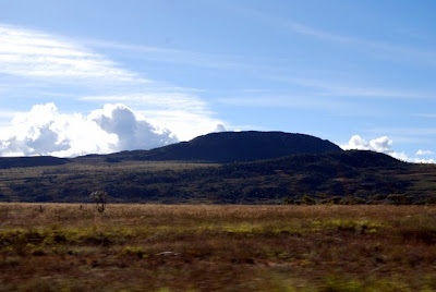 Le paysage sec du cerrado défile le long de la route