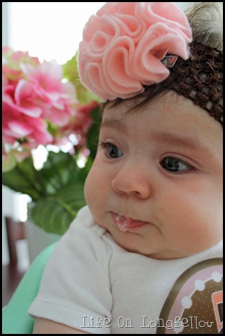 IMG_5070_edit IMG_5070_edit