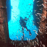 2004 Waikato Wreck