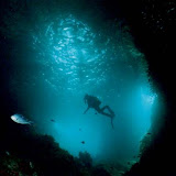 2004 Poor Knights Islands